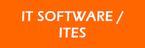 IT Software